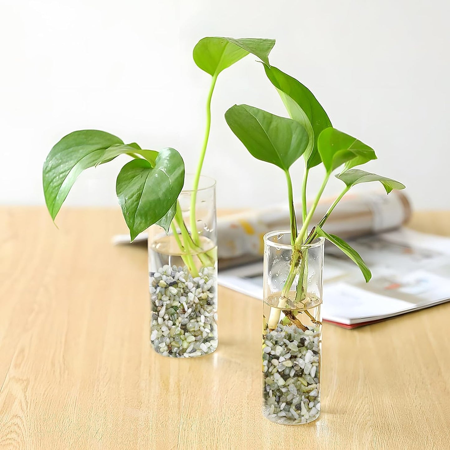 2.5LB Succulent and Cactus Pebbles, 1/5 Inch Jade Pebbles for Indoor Plants, Decorative Gravel for Vases, Bamboo, Succulent, Terrarium, Crafts, Cactus