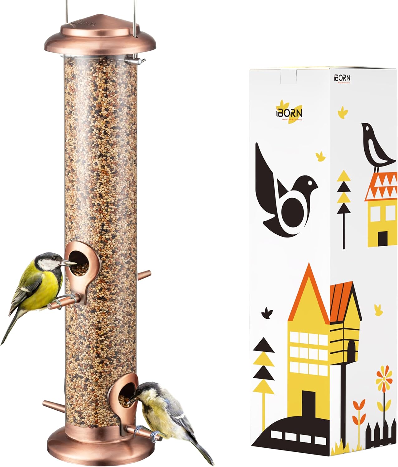 Backyard Birding & Wildlife