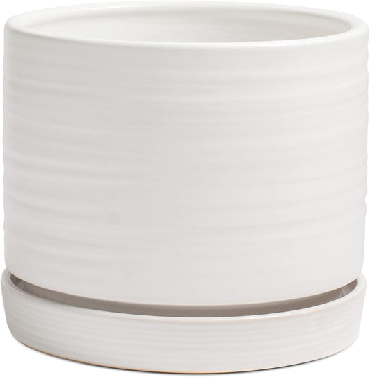 8 Inch Pots for Plants, Ceramic Planter Pot with Drainage Hole & Saucer, Indoor/Outdoor Cylinder Round Planter Pot, Matte White