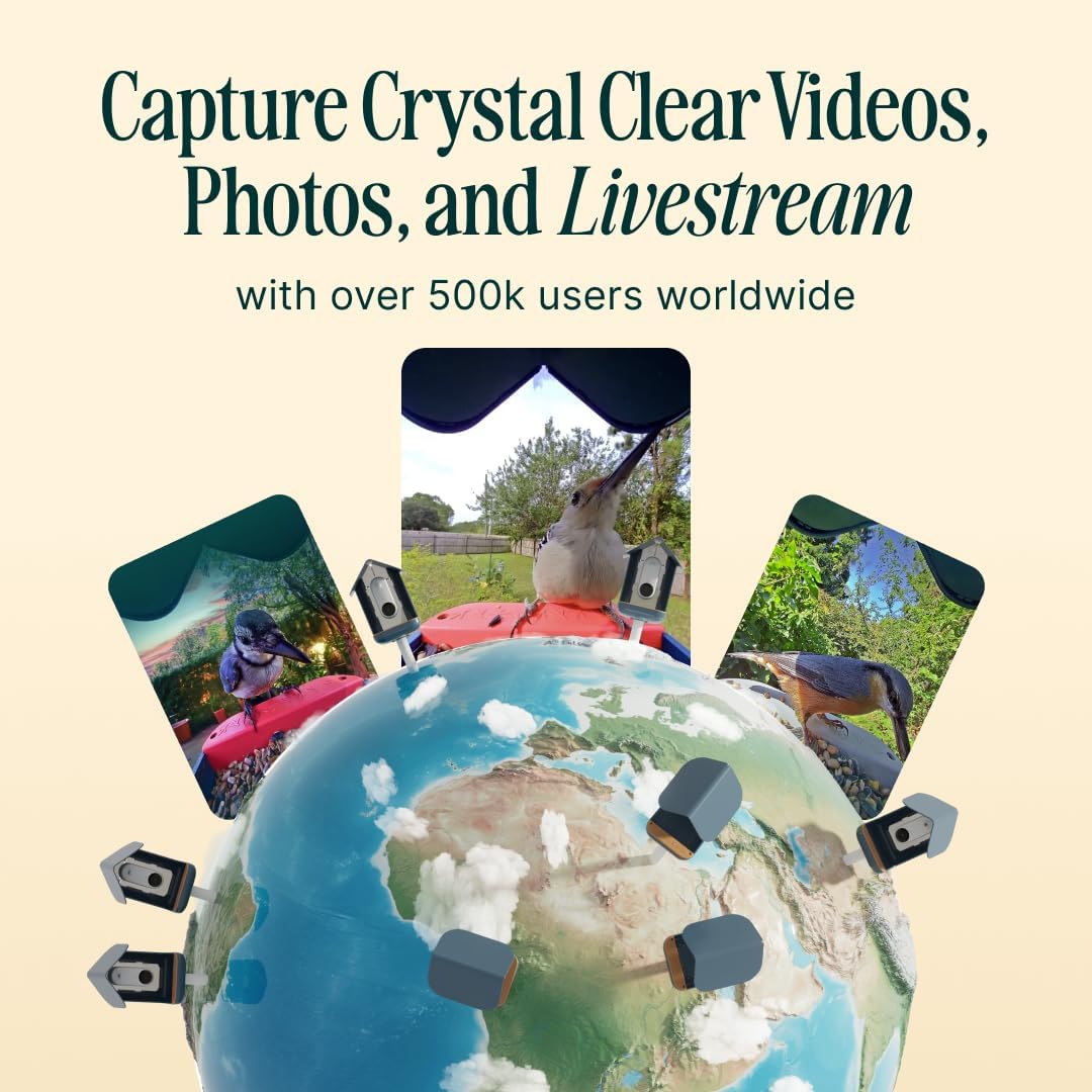 Birdbuddy PRO Solar Smart Bird Feeder with Camera - AI Bird Species Identification, 5MP Photos, 2K HD Video Live Stream Camera, Slow-Motion Video, 2.6in Focus - Blue Solar