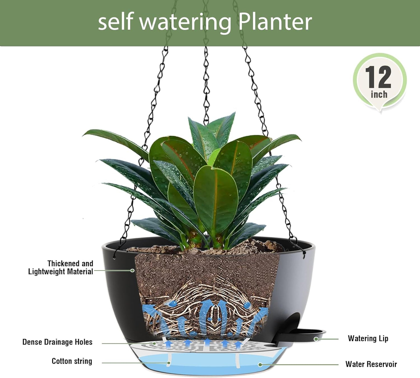 12 Inch Hanging Baskets 2 PC with Chains, Self-Watering Hanging Planters for Indoor Outdoor Plants, Plastic Hanging Flower Pots,Black