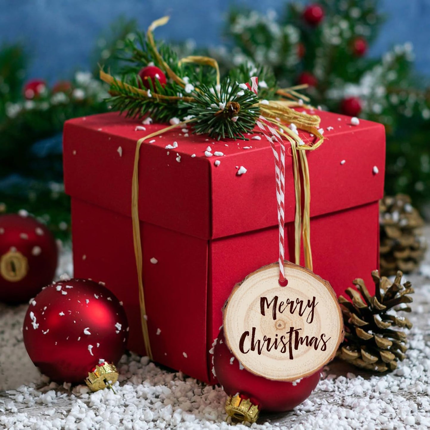 90 PCS 2.8-3inch Unfinished Wood Slices, Natural Wood Slices, Predrilled with Hole Wood Slice for DIY Arts Craft Christmas Ornaments