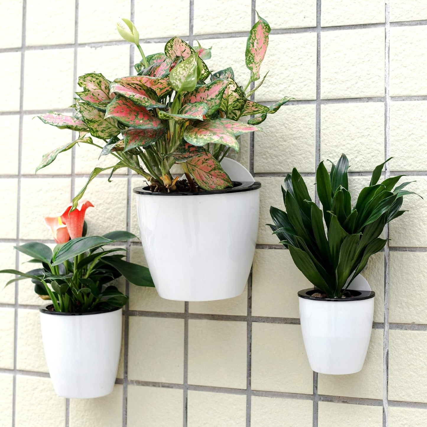 3 Pack Self Watering Wall Hanging Planter Pots Vertical Garden Window Hang Mount Indoor Outdoor Plant Flower Basket for Kitchen Herbs Balcony Railing Shelf Fence Bedroom Trellis Decor Modern White Box