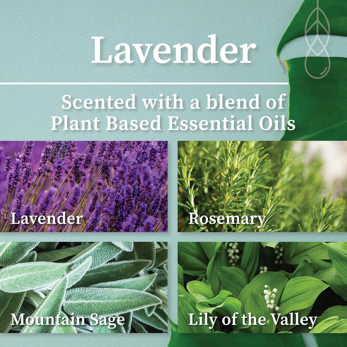 Hemlock Park Wood Wick Candle Handcrafted with Natural Coconut Wax and Essential Oils (Amber & Gold 7.2 oz, Lavender)