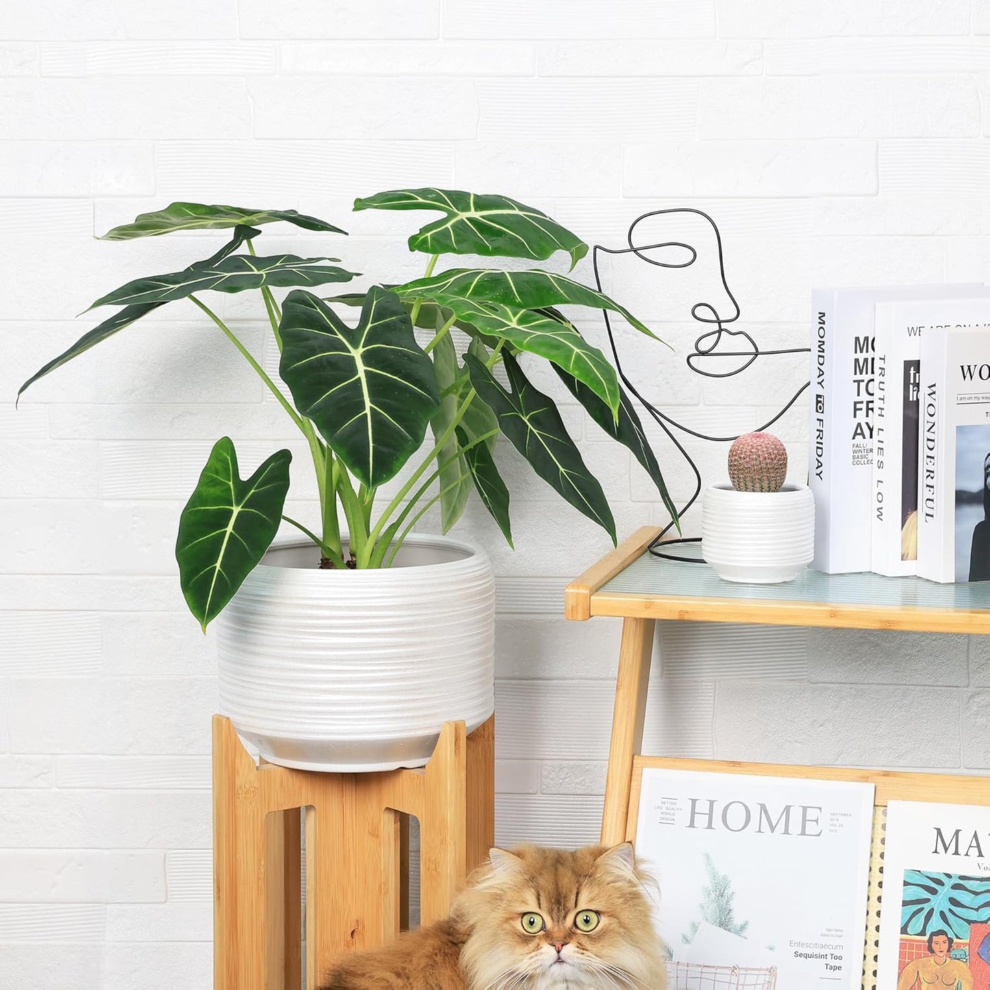 10 Inch Ceramic Plant Pot with Drainage – Large Flower Pot for Indoor Outdoor Plants, Modern Decorative Planter for Patio, Balcony, Garden, or Home Decor