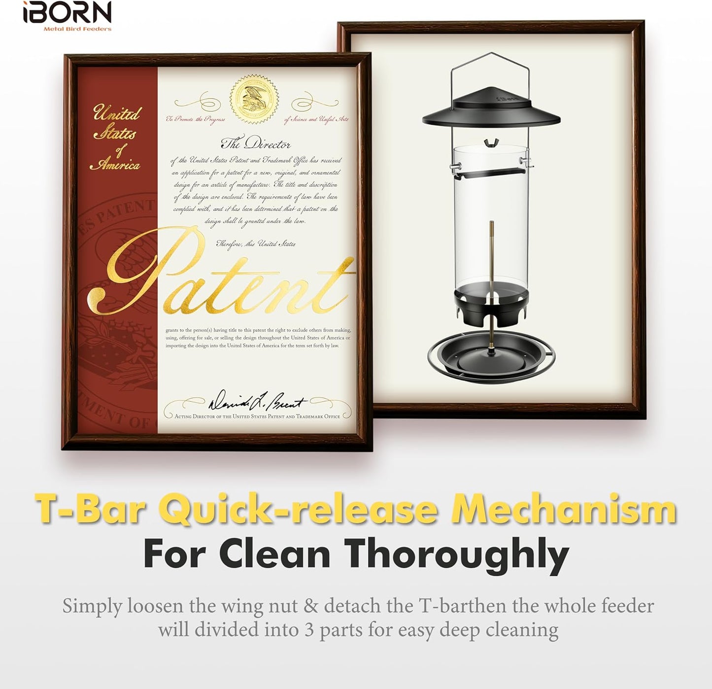 iBorn Metal Bird Feeder for Outside Hanging,Wild Bird Feeders for Cardinal,18cm Large Roof&Tray Black 10 Port(Seed is not Included)