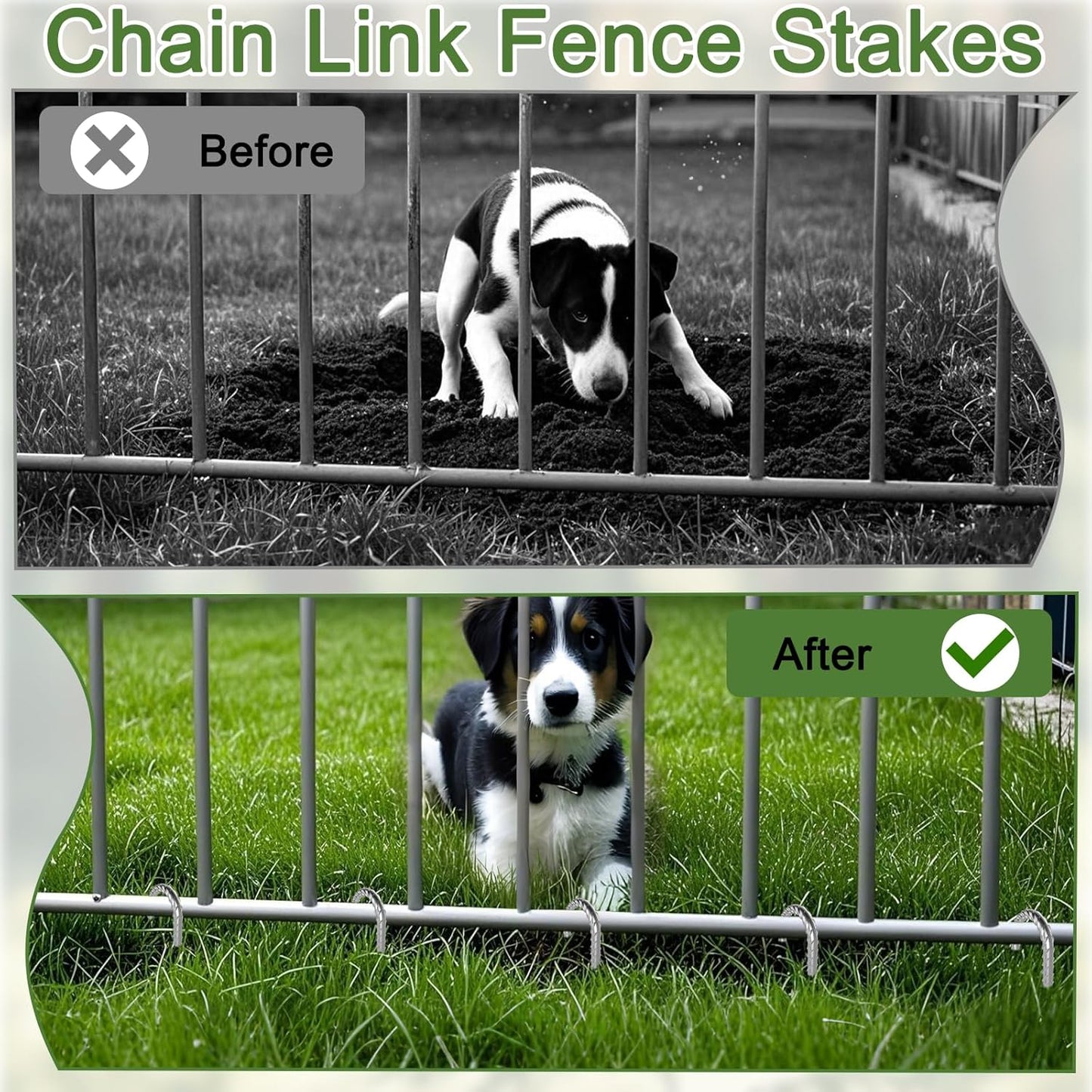 Rebar Stakes 12 Inch, 55 Pack Galvanized Metal Tent Stakes Heavy Duty Ground Stakes, J Hook Steel Fence Stakes for Ground, Outdoor Decoration, Wire Fencing, Gardening