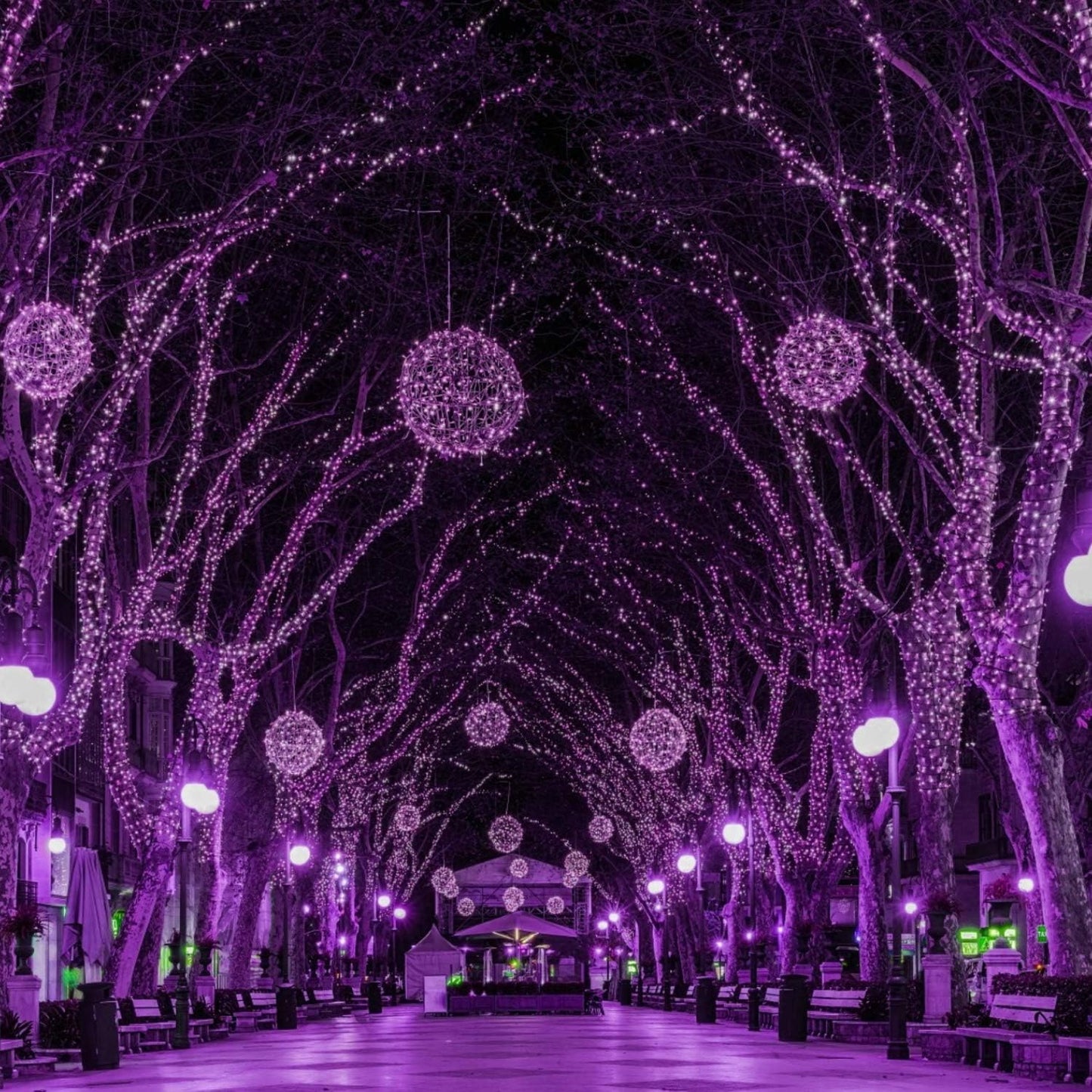 2Pack Christmas Lights Outdoor, 33FT 100 LED Mini Purple Lights Plug in with 8 Modes for Outdoor Indoor Christmas Tree Light Party Holiday Commercial Decorations, Waterproof & Connectable, Purple