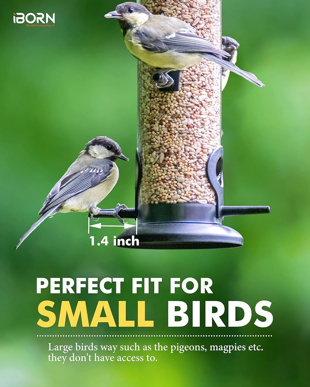 iBorn Metal Bird Feeder Hanging Wild Bird Seed Feeder for Mix Seed Blends Heavy Duty All Metal Black Finish,14 Inch 6 Port,Pack of 2