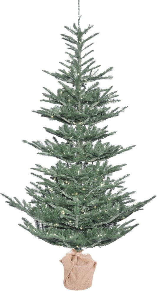 5' x 40" Alberta Blue Spruce 200LEDWmWht