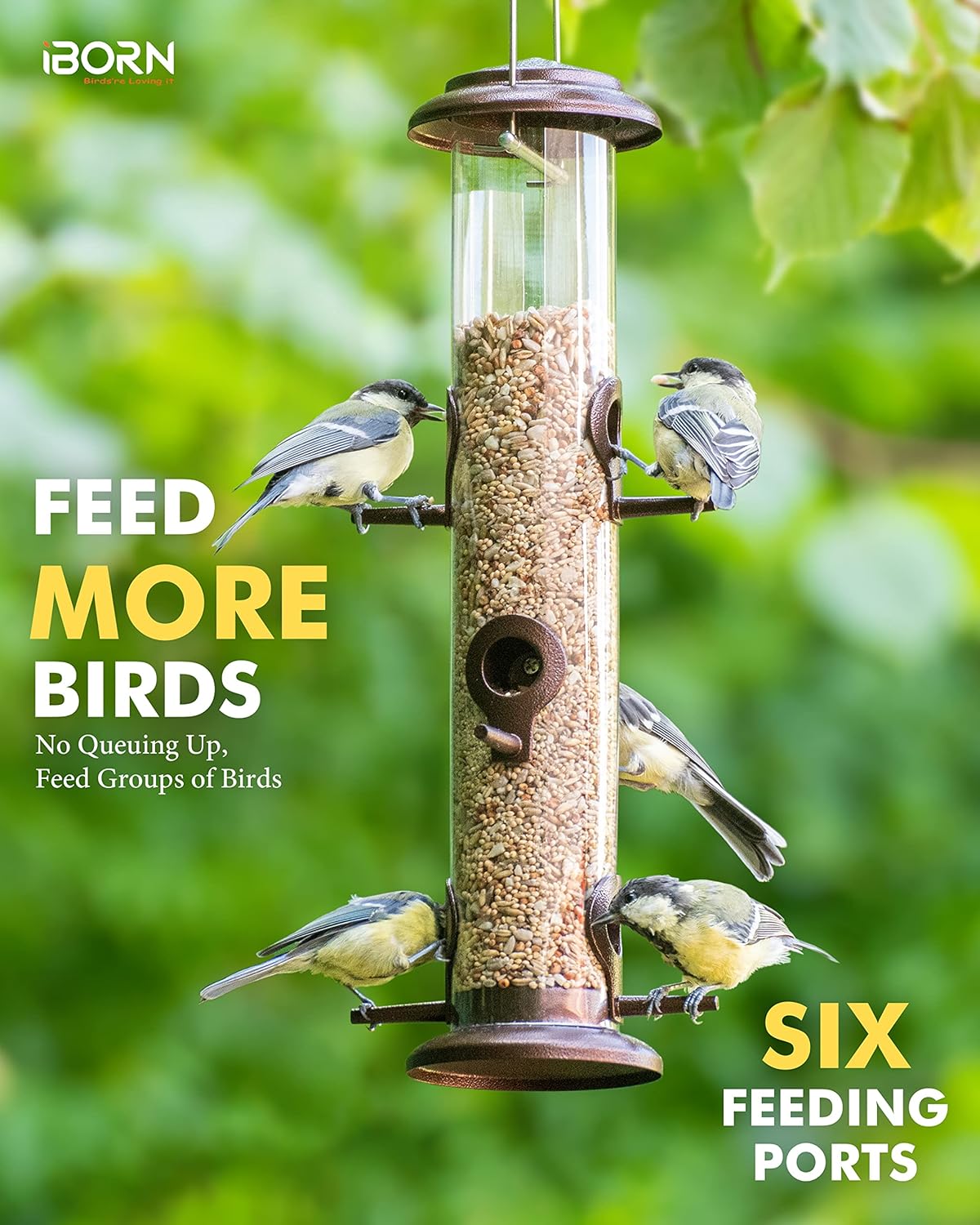 iBorn Metal Bird Feeder Hanging Wild Bird Seed Feeder for Mix Seed Blends Heavy Duty All Metal Coffee Finish,14 Inch 6 Port(Seed is not Included)