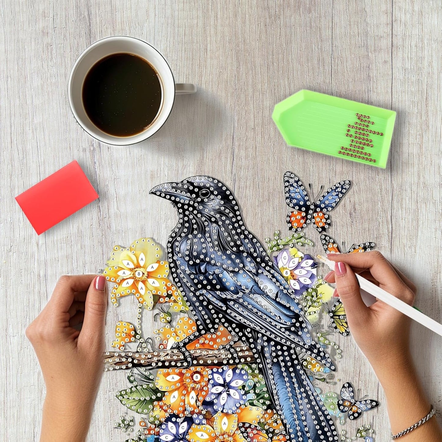 SENQAO Crow Diamond Art Hanging Kit for Adult, Special Shaped Rhinestone, Double Sided DIY Acrylic Diamond Art Painting Window Pendants Home Garden Wall Hanging Kits Hanging Ornament